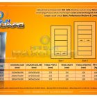 jual brankas haisun max guard